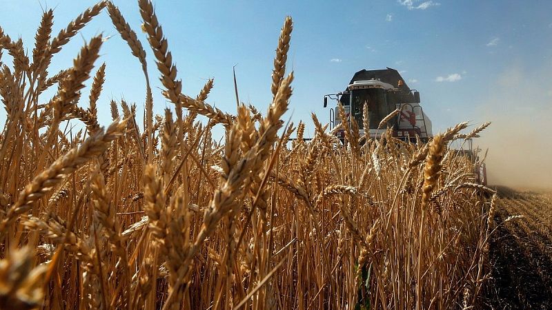 MTK North-South will be supported by grain cargoes
