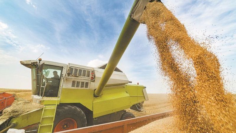 Grain Hopper Cars Cross Borders