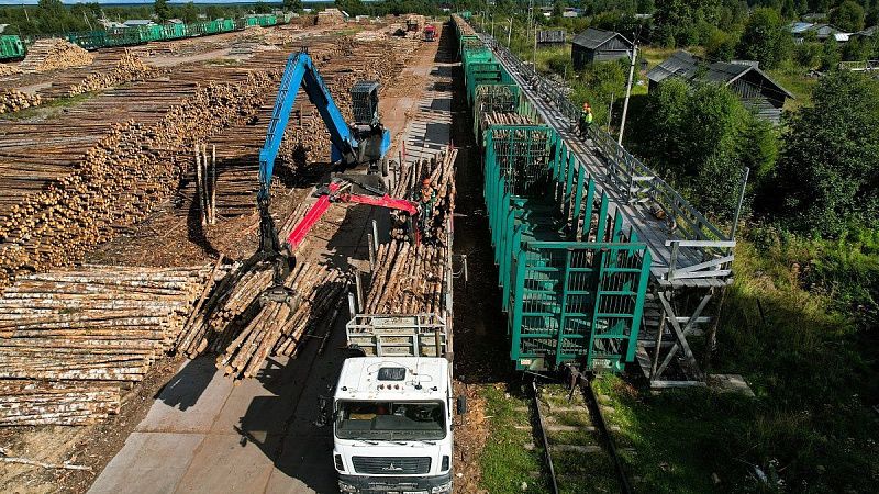 Russian wood producers continue to search for new markets