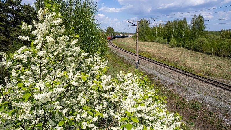 Rails change color
