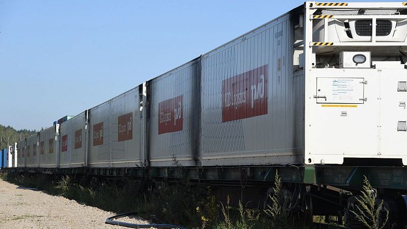 Russian Railways Logistics is gaining a foothold in the African and Persian Gulf markets